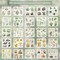 170 Pcs Spring Scrapbook Sticker & Paper Kit - 145 Waterproof PET Flower Decals & 25 Sheets Scenic Material Paper - Pre-Cut Floral Supplies for Bullet Journals, Collage, and DIY Crafts